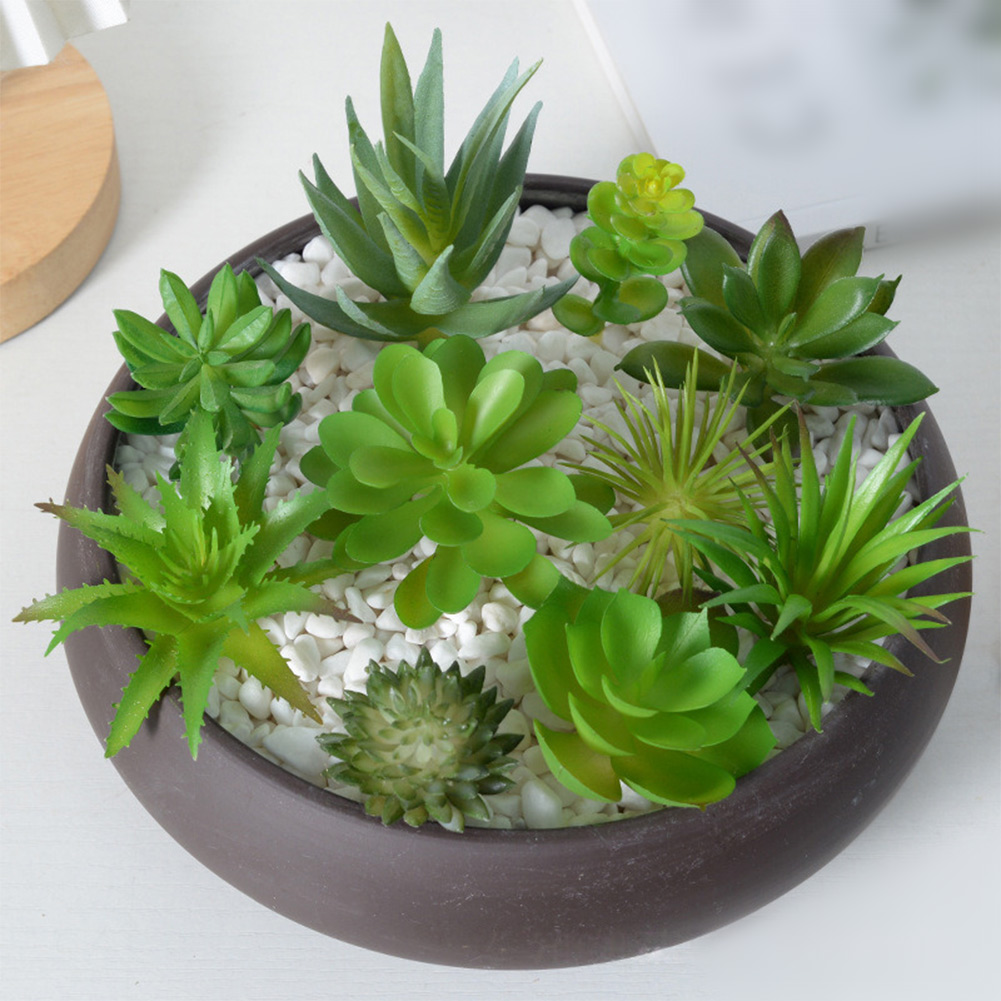 Succulent Arrangement Mini - 인공 미니 분재 다육식물 장식, 가정