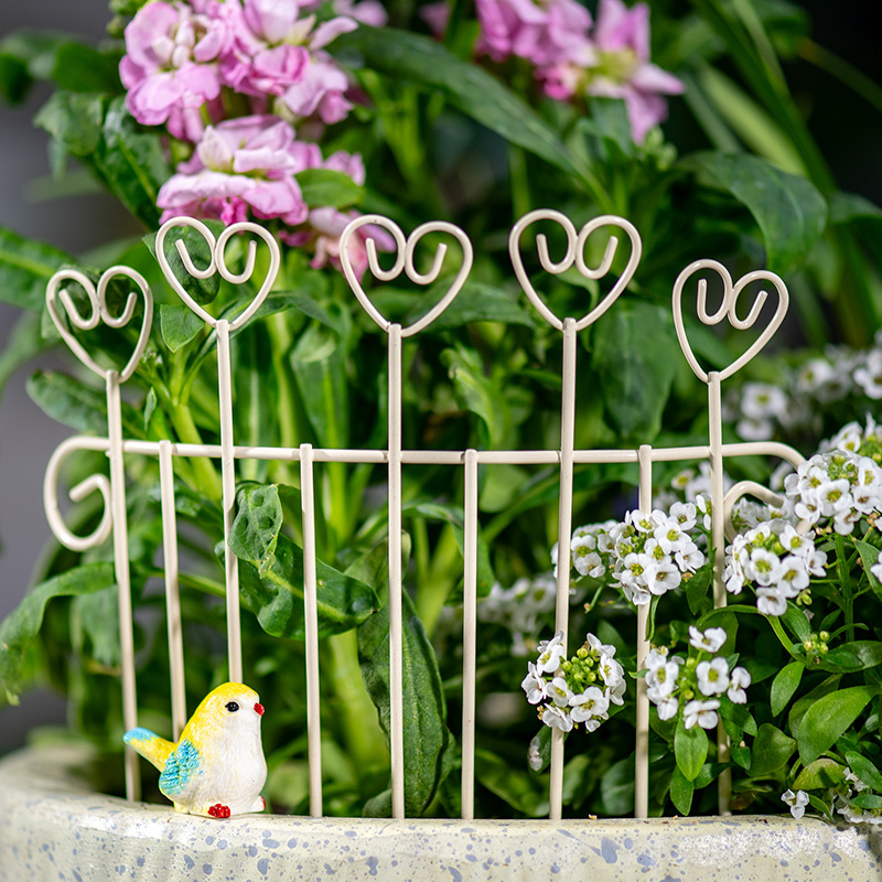 Succulent Arrangement Mini - 기발한 미니 철제 화분 울타리, DIY