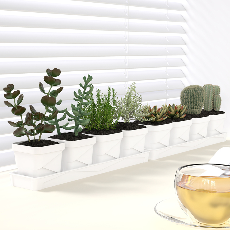 Cactus Mix Pot - 북유럽 미니멀리스트 다육식물 화분, 트레이 포함,