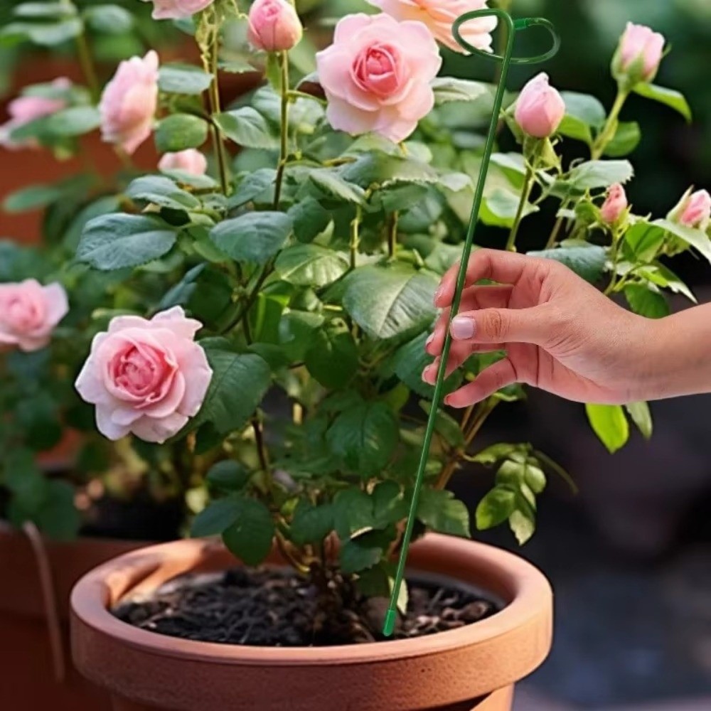 새로운 금속 지지대 프레임 낙하 방지 재사용 가능한 정 - Plant Parent Tools 리뷰 및 가격