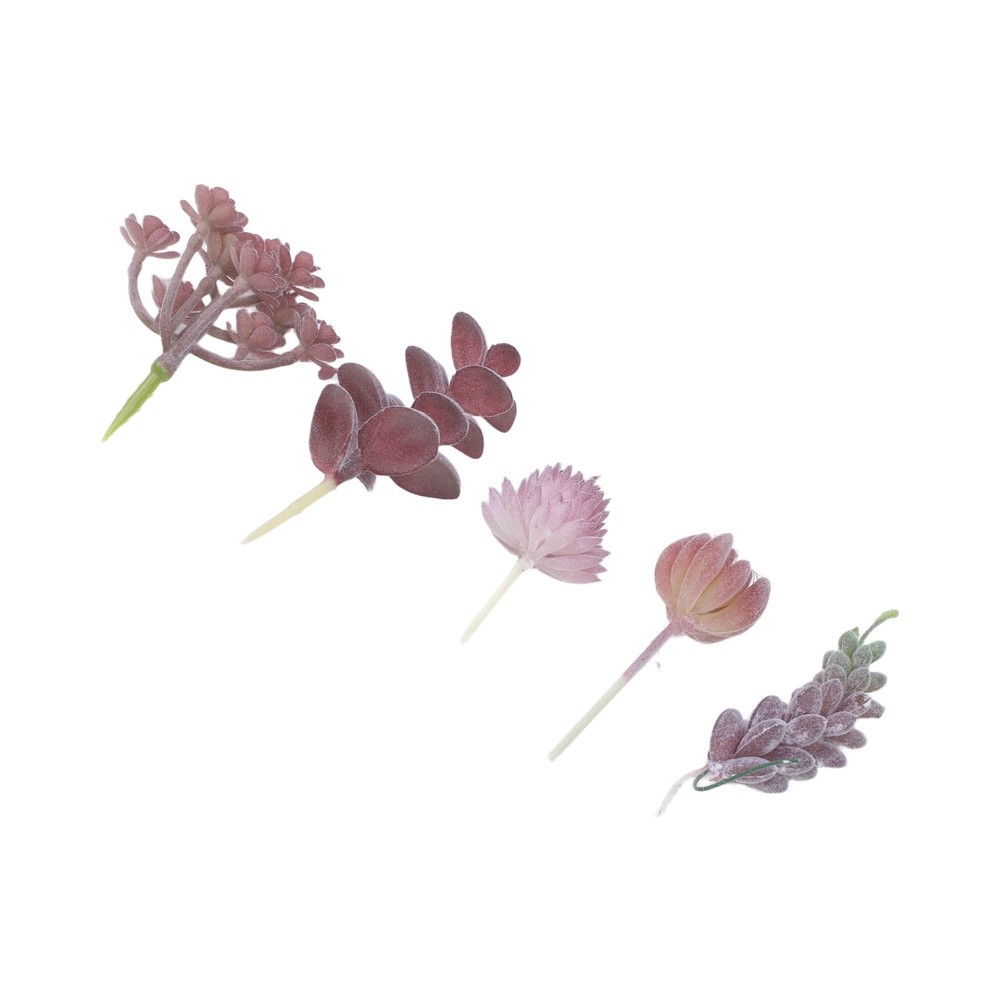 인공 미니 분재 다육식물 장식, 가정 사무실 책상 장식 - Succulent Arrangement Mini 리뷰 및 가격