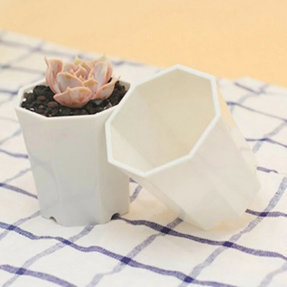 실내 창턱 디스플레이, 야외 파티오 장식 및 다육 식물 - Succulent Arrangement Mini 리뷰 및 가격