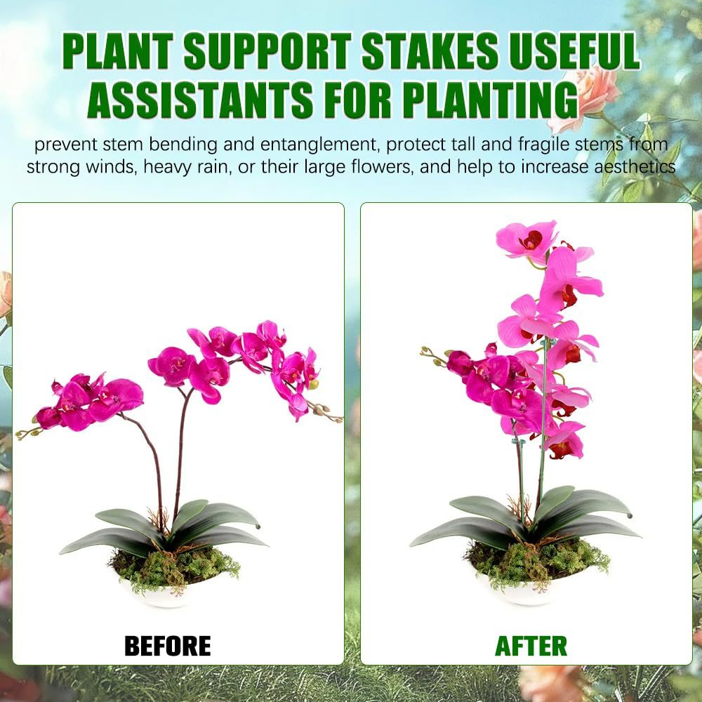 5/10PCS 식물 지지대 스탠드 나비 난초 꽃 화분  - Plant Parent Tools 리뷰 및 가격