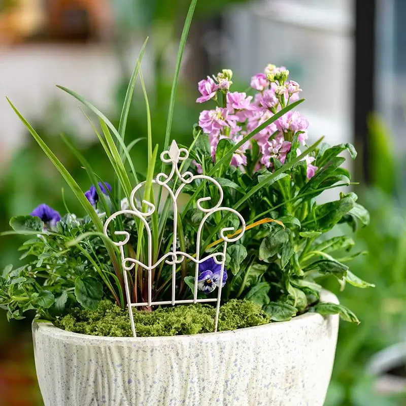 기발한 미니 철제 화분 울타리, DIY 미니어처 정원, - Succulent Arrangement Mini 리뷰 및 가격