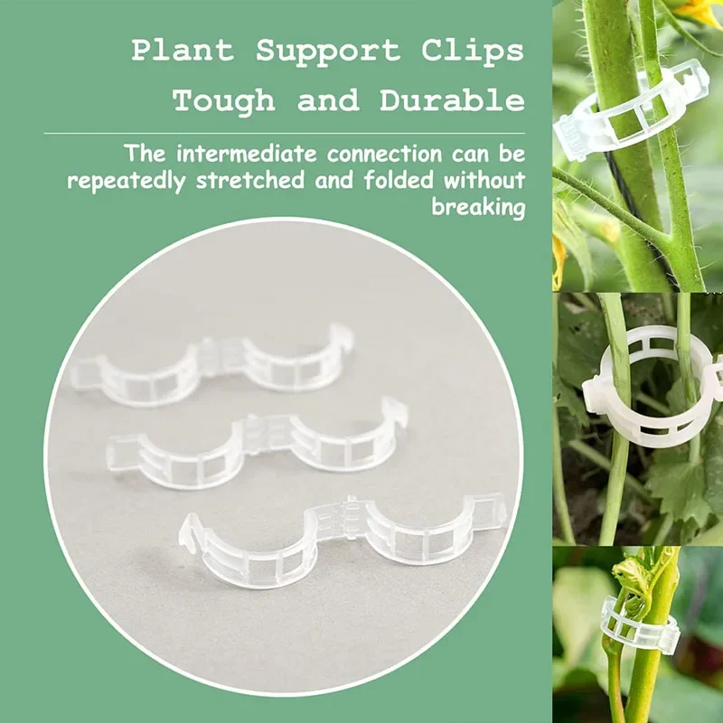 재사용 가능한 식물 고정 클립, 식물 야채 덩굴 연결, - Plant Parent Tools 리뷰 및 가격