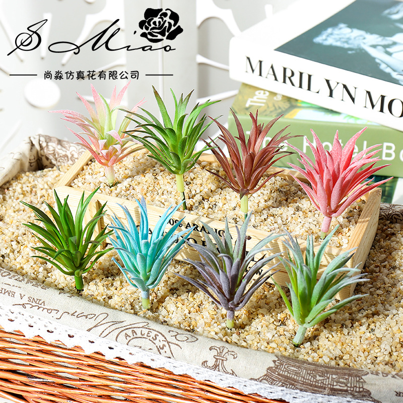 7.5x10cm 미니 링 지아오 차오 인조 다육식물 D - Succulent Arrangement Mini 리뷰 및 가격