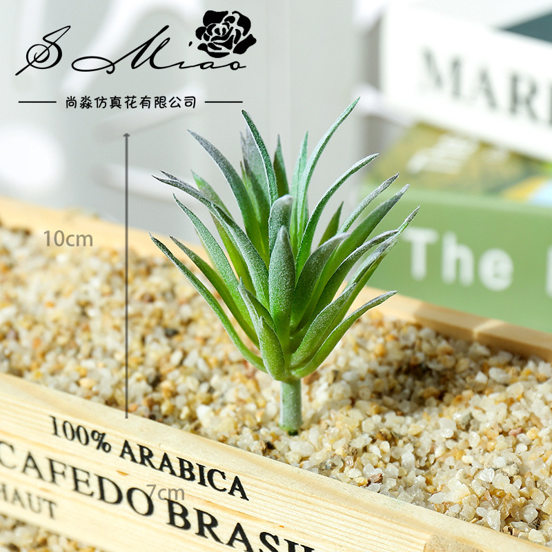 7.5x10cm 미니 링 지아오 차오 인조 다육식물 D - Succulent Arrangement Mini 리뷰 및 가격