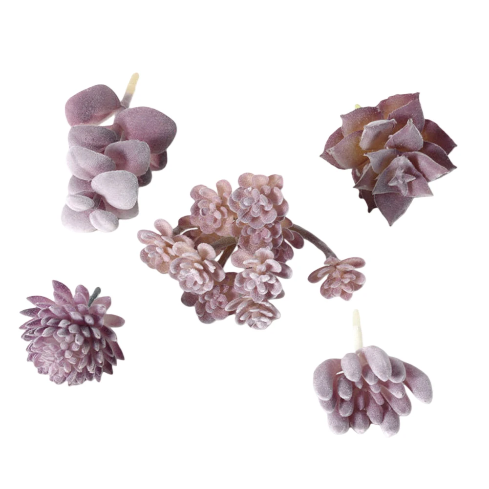 집, 사무실, 거실, 침실 등 실내 공간을 위한 관리가 - Succulent Arrangement Mini 리뷰 및 가격