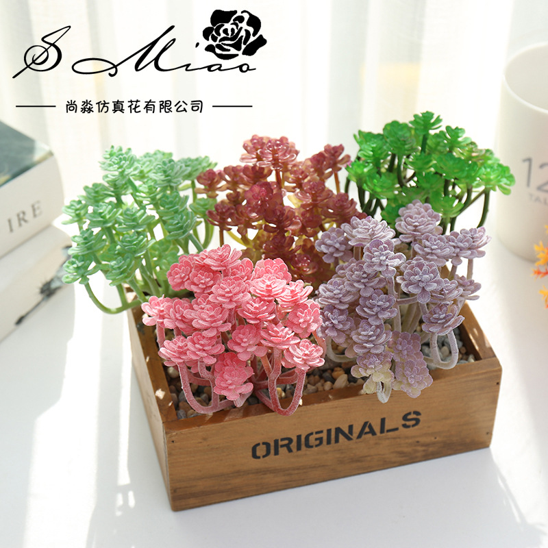 Wusmart 대형 시안 렌 케 인공 다육 식물, DI - Succulent Arrangement Mini 리뷰 및 가격