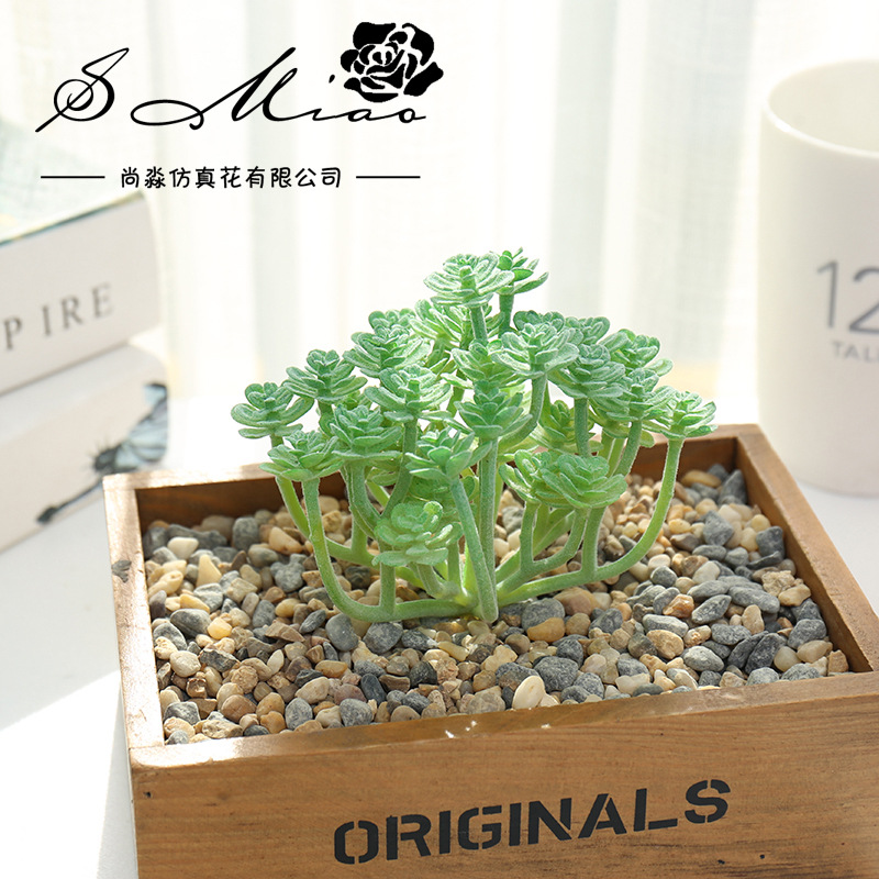 Wusmart 대형 시안 렌 케 인공 다육 식물, DI - Succulent Arrangement Mini 리뷰 및 가격