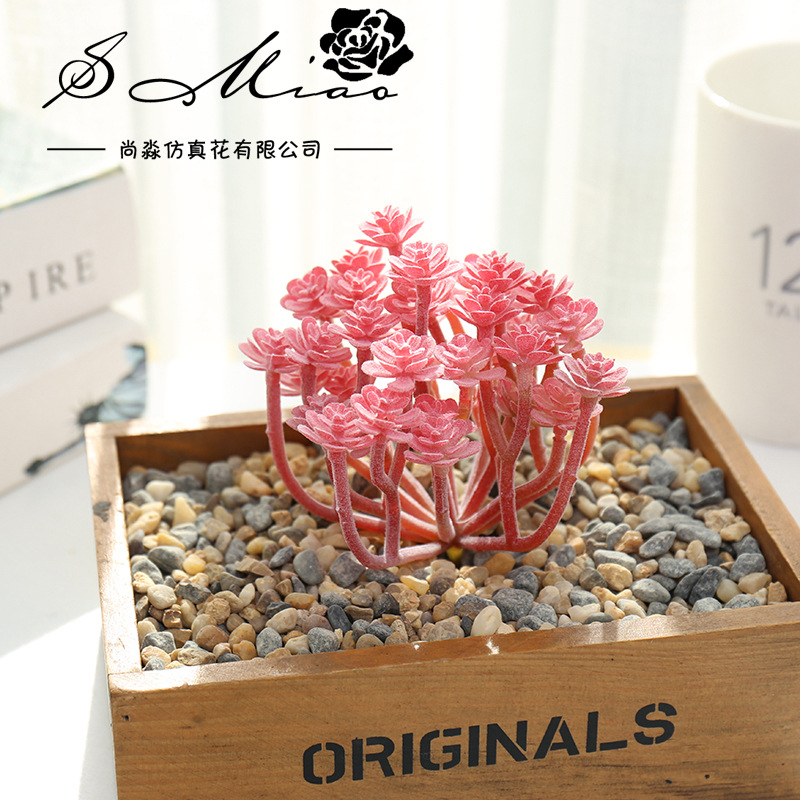 Wusmart 대형 시안 렌 케 인공 다육 식물, DI - Succulent Arrangement Mini 리뷰 및 가격