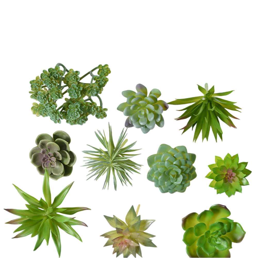 미니 분재 인조 다육식물 장식 세트, 가정 사무실 책상 - Succulent Arrangement Mini 리뷰 및 가격
