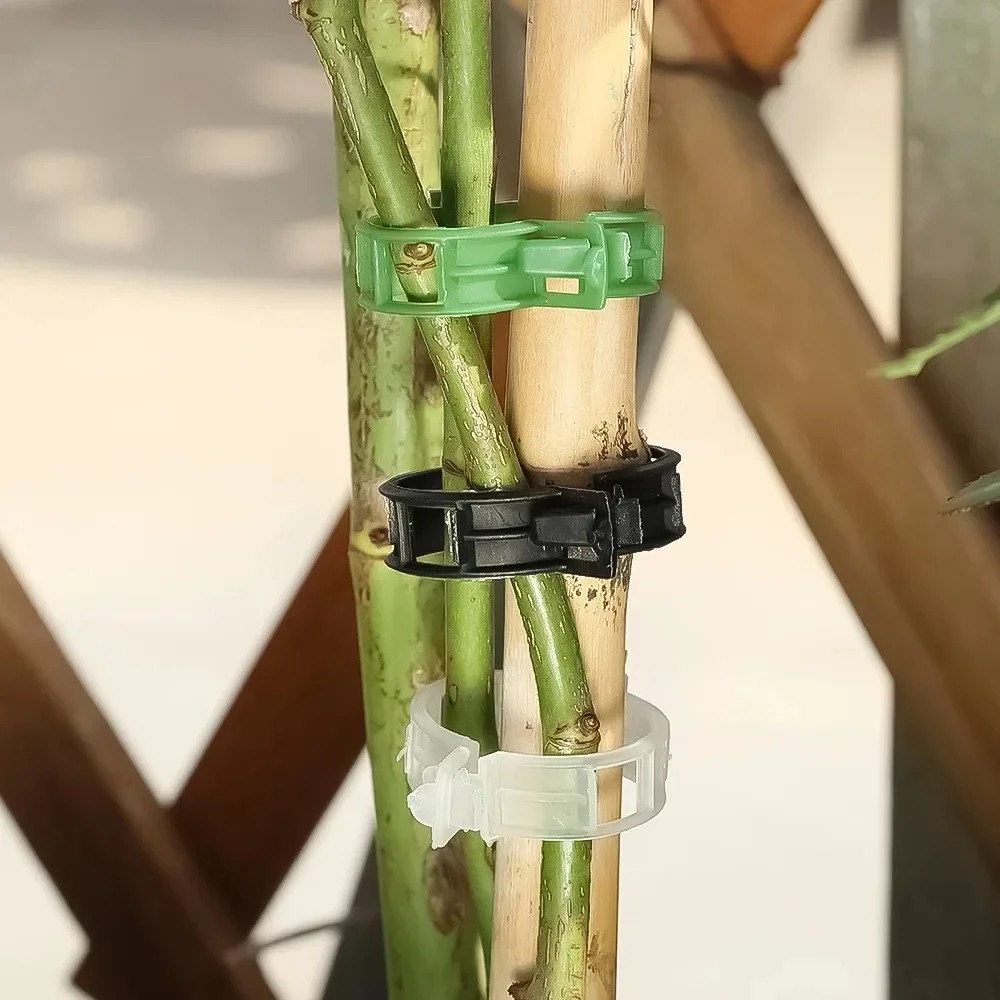 100/10PCS 식물 지지 클립 플라스틱 버클 재사용 - Plant Parent Tools 리뷰 및 가격