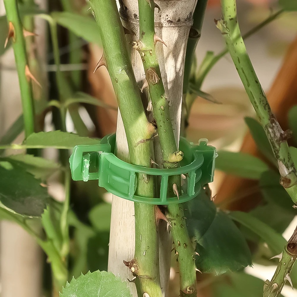 100/10PCS 식물 지지 클립 플라스틱 버클 재사용 - Plant Parent Tools 리뷰 및 가격