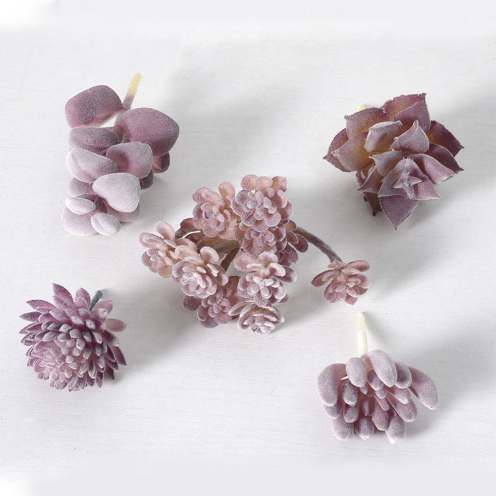 미니 분재 다육식물 장식용 화분, 가정 및 사무실 장식 - Succulent Arrangement Mini 리뷰 및 가격