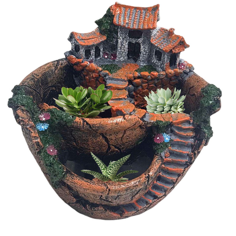다육식물 화분 빈티지 멀티 화분 장식용 소형 식물 홀더 - Cactus Mix Pot 리뷰 및 가격