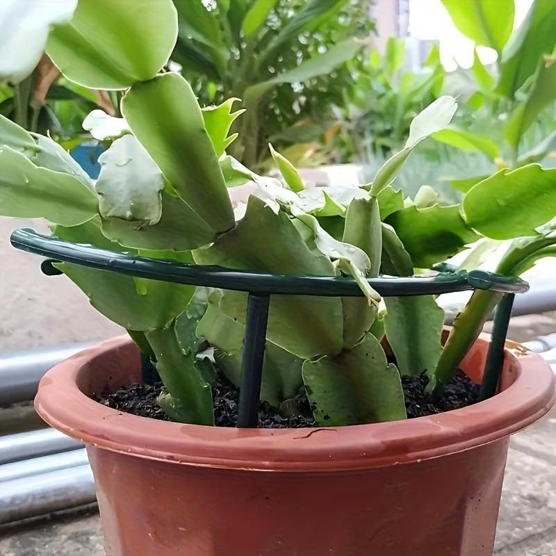 30-1개 플라스틱 식물 지지대 반원형 말뚝 프레임 고 - Plant Parent Tools 리뷰 및 가격
