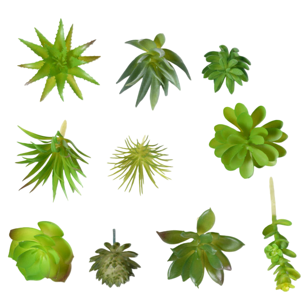 미니 분재 스타일 인조 다육식물 장식용 사진 소품, 스 - Succulent Arrangement Mini 리뷰 및 가격