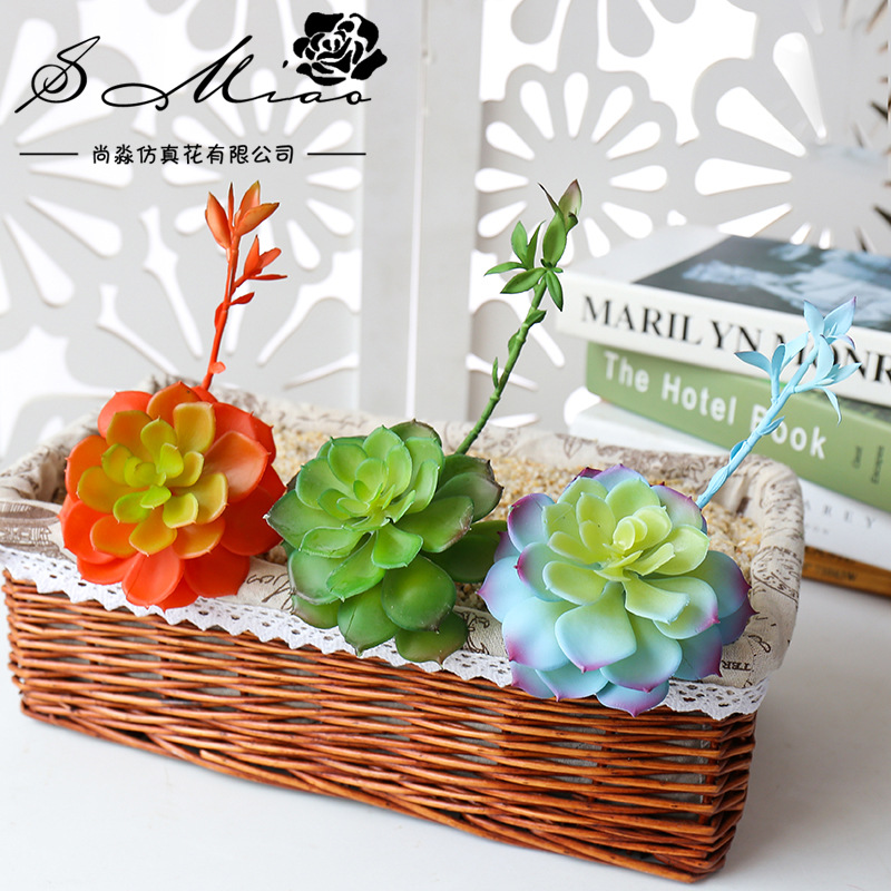 Wusmart Zhong Shi Lian 대형 인공 다 - Succulent Arrangement Mini 리뷰 및 가격