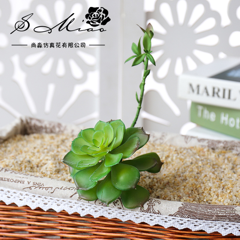 Wusmart Zhong Shi Lian 대형 인공 다 - Succulent Arrangement Mini 리뷰 및 가격