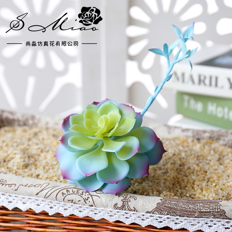 Wusmart Zhong Shi Lian 대형 인공 다 - Succulent Arrangement Mini 리뷰 및 가격