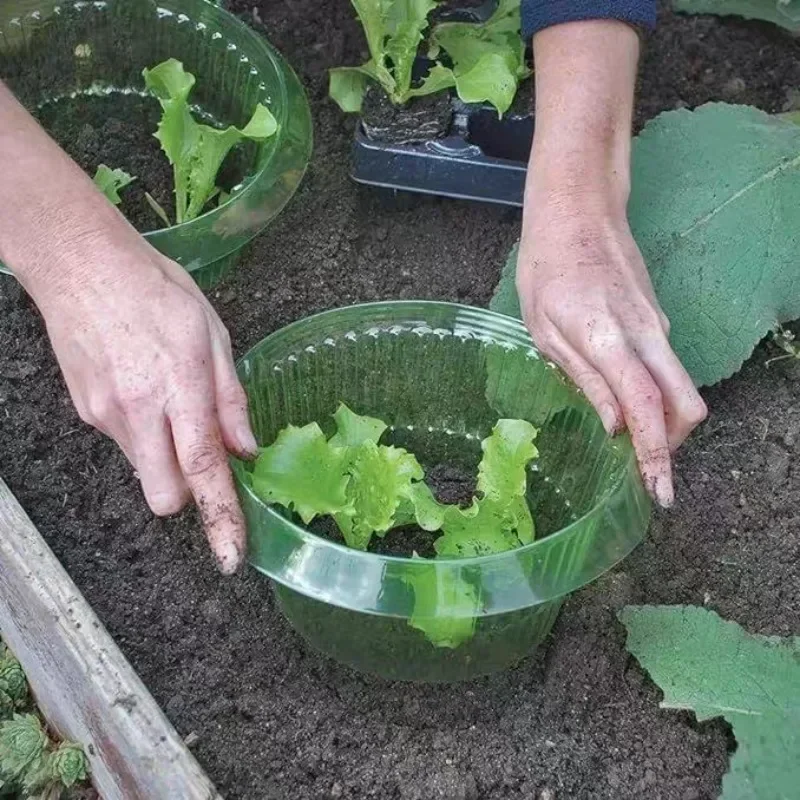 식물 달팽이 보호 링 야채 커버 식물 달팽이 칼라 가드 - Plant Parent Tools 리뷰 및 가격