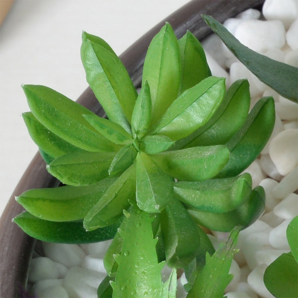 현대적인 미니 분재 테마의 인조 다육식물 장식으로 주거 - Succulent Arrangement Mini 리뷰 및 가격