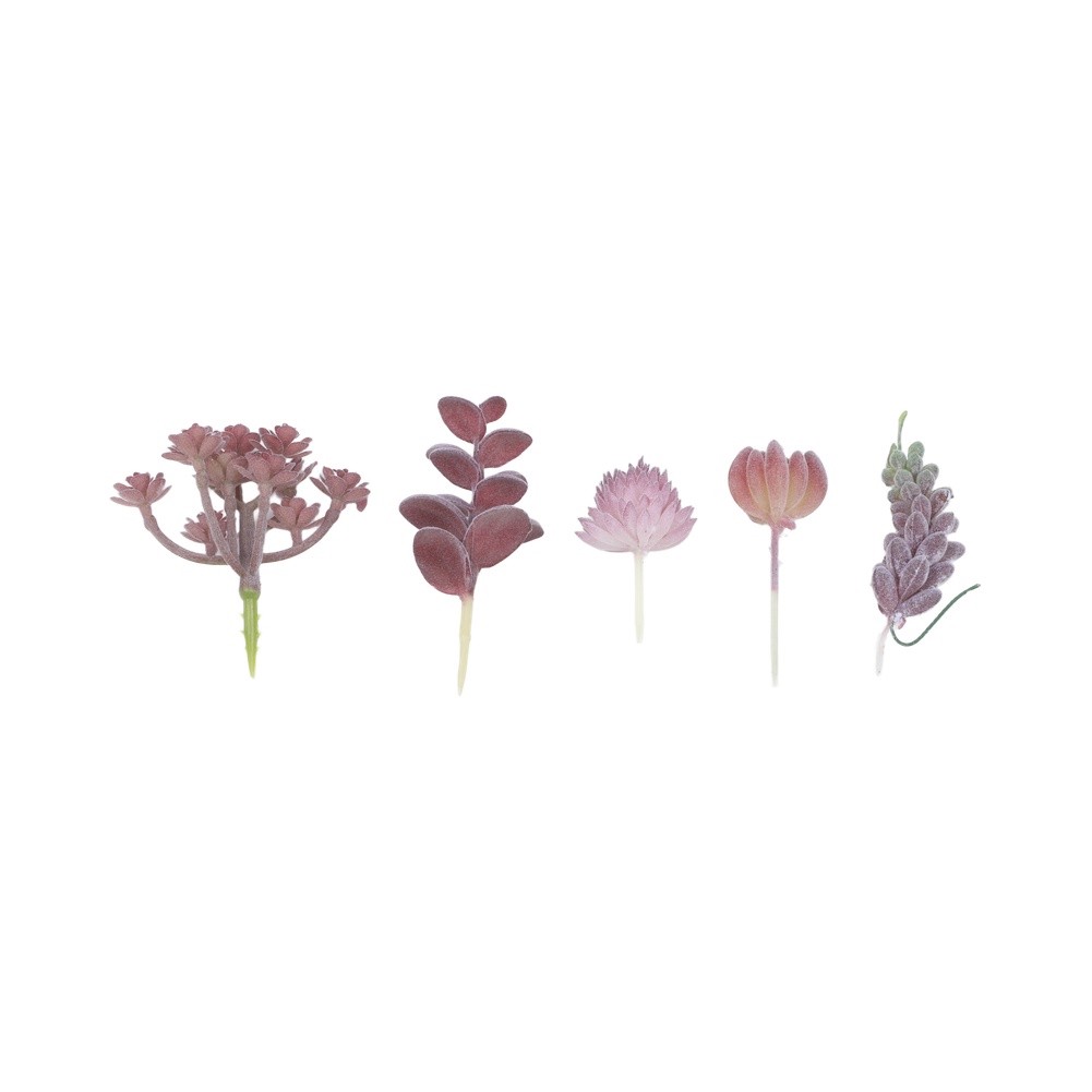 현대적인 미니 분재 테마의 인조 다육식물 장식으로 주거 - Succulent Arrangement Mini 리뷰 및 가격