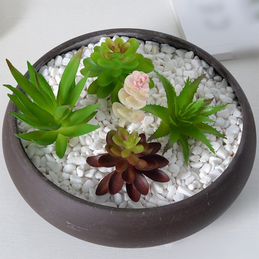 현대적인 미니 분재 테마의 인조 다육식물 장식으로 주거 - Succulent Arrangement Mini 리뷰 및 가격