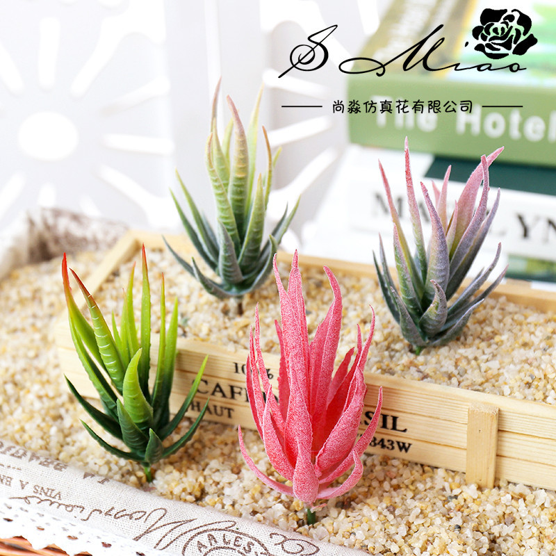 우스마트 반마루 휘 인조 다육식물 DIY 꽃꽂이 액세서 - Succulent Arrangement Mini 리뷰 및 가격