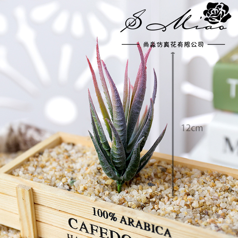 우스마트 반마루 휘 인조 다육식물 DIY 꽃꽂이 액세서 - Succulent Arrangement Mini 리뷰 및 가격