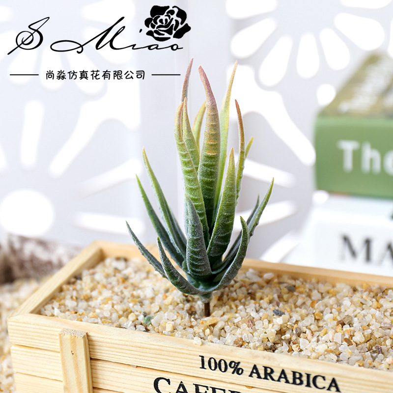 우스마트 반마루 휘 인조 다육식물 DIY 꽃꽂이 액세서 - Succulent Arrangement Mini 리뷰 및 가격