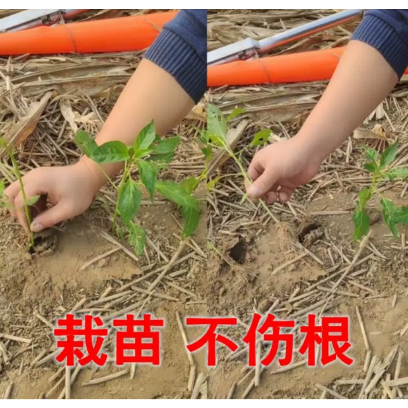 농업용 묘목 이식기 토마토, 피망 묘목 심기용 정원 재 - Plant Parent Tools 리뷰 및 가격