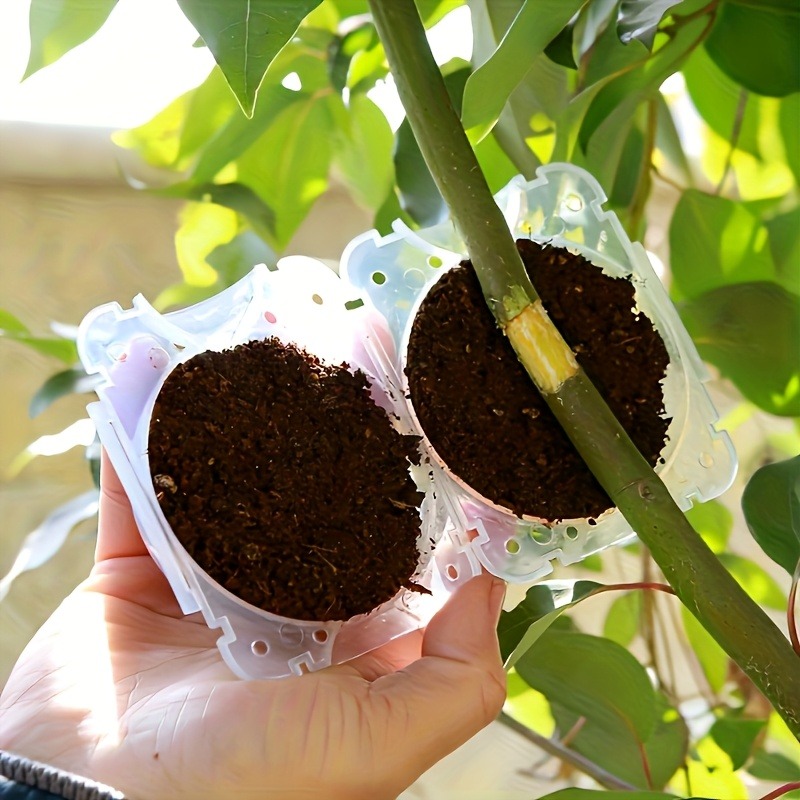 10개입 고압 식물 뿌리화 번식 상자 키트, 정원용 압 - Plant Parent Tools 리뷰 및 가격